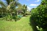 Lush tropical landscaping with mature palm trees and dense privacy hedging