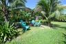 Lush tropical landscaping with mature palm trees and green foliage