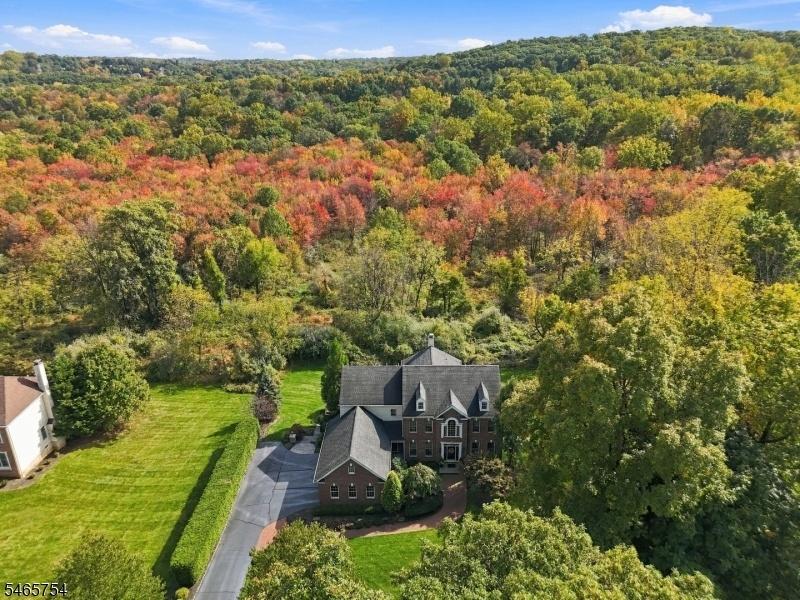 Front Aerial View