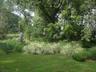 Rear Yard