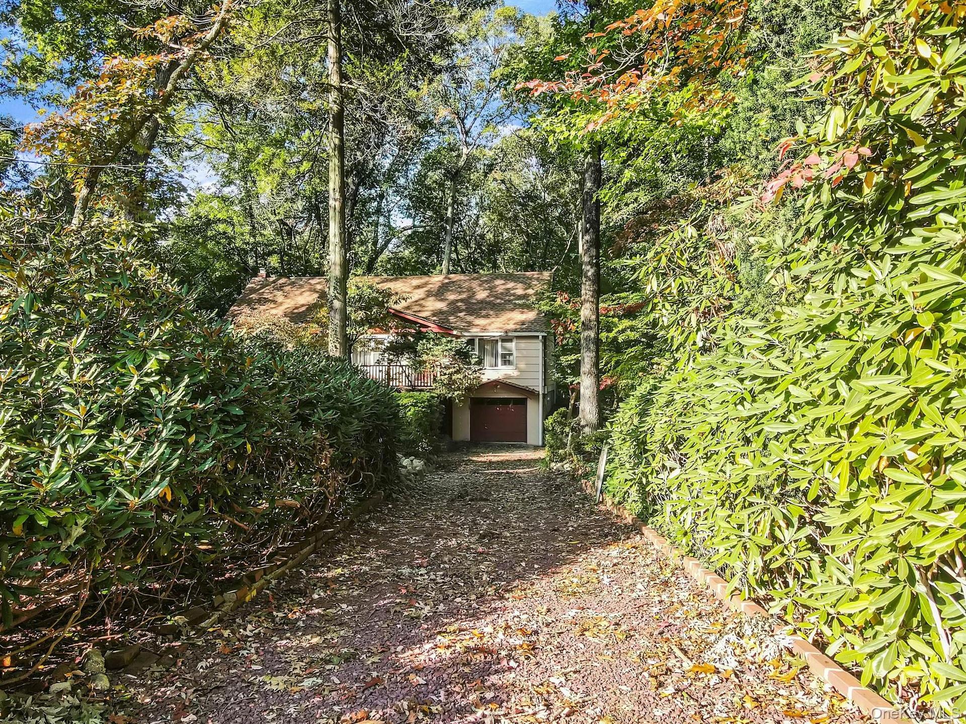long driveway with matured landscape