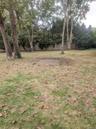 ...backyard featuring mature trees, fencing...