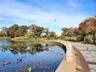 One block from Baisley Park