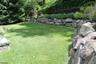 Grass