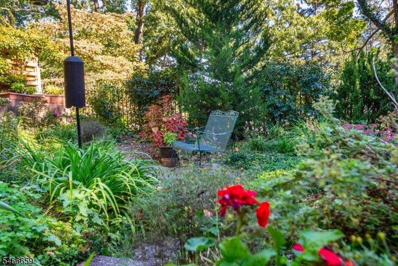 Mature backyard garden
