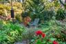Mature backyard garden
