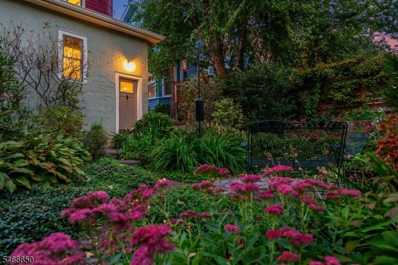 Backyard at twilight