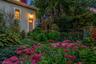 Backyard at twilight