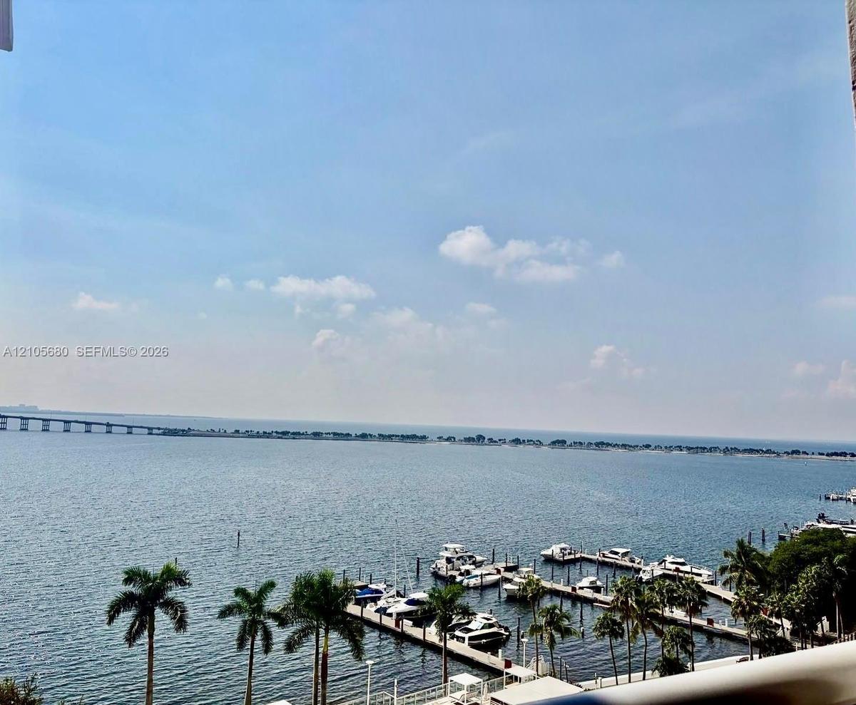 Waterfront perspective featuring a marina with boat slips, palm trees, and a bridge crossing the horizon