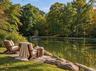 Pond Rendering
