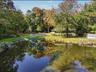 Pond