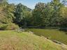 Pond