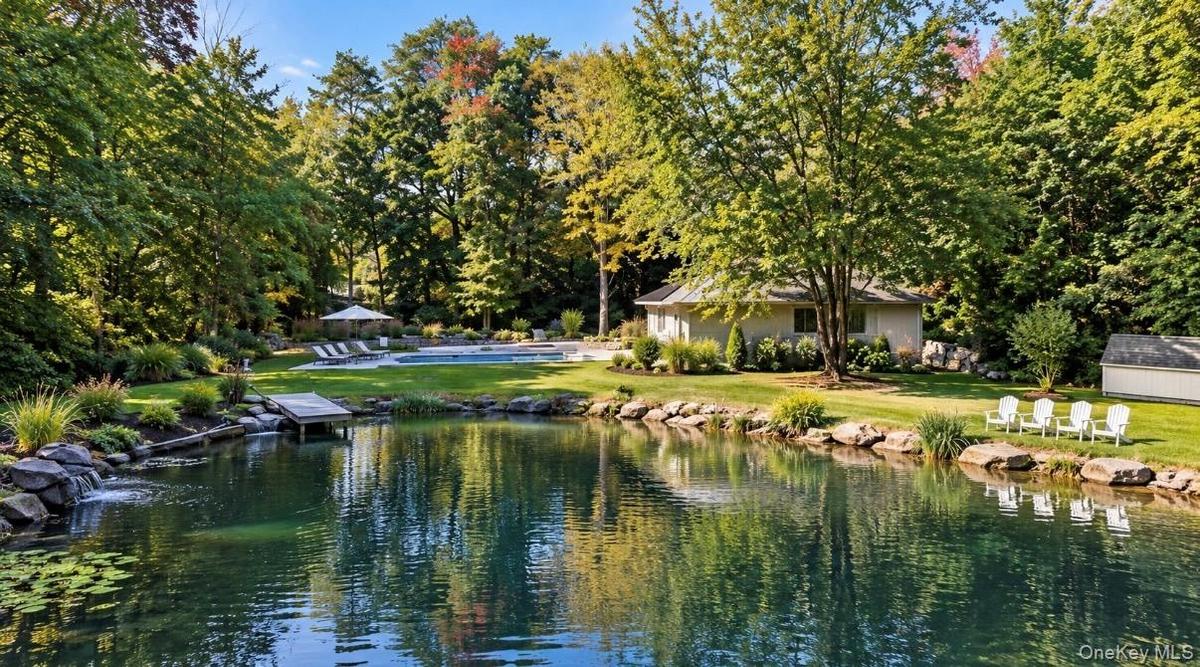 Pond