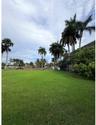 Expansive grass lawn featuring mature palm trees and established perimeter vegetation