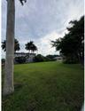 Expansive open lot featuring a level grass lawn, mature palm trees, and established perimeter foliage