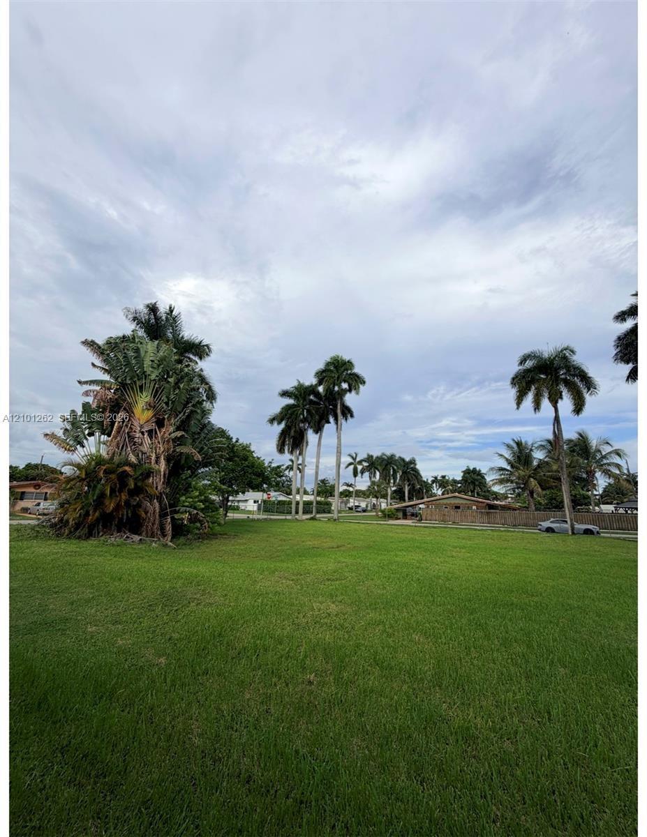 Expansive grass lot featuring mature palm trees and established tropical foliage