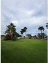 Expansive grass lot featuring mature palm trees and established tropical foliage