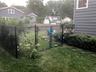 Fenced in yard