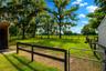 paddock