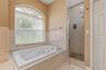 Master Bathtub and Shower