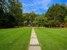 Lush level back yard