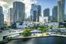 High-rise urban center featuring glass-facade skyscrapers, concrete hardscaping, waterfront bulkhead, and mature canopy trees