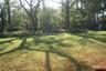 Spectacular yard!