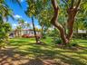 Expansive lawn featuring mature palm and hardwood trees, integrated landscaping, and a raised wooden deck