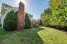 Side Yard & Wooded Backdrop