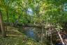 Wooded Stream Setting