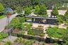 Community Plant and Veggie garden