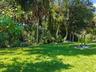 Backyard Preserve