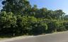 Lot A: Corner Of Pinelawn Avenue & McGraw Street117.8x117.8 In Size