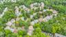 Aerial Shot