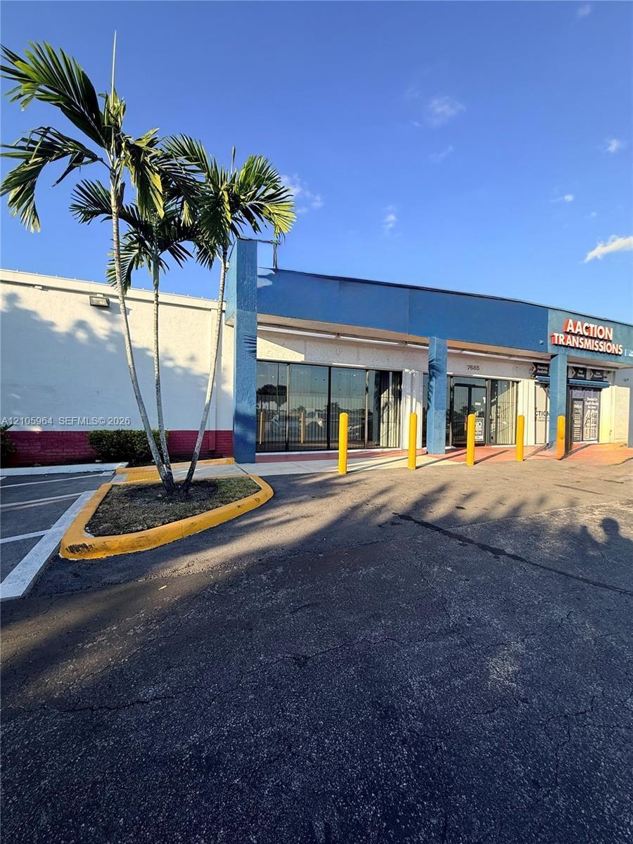 Commercial storefront exterior featuring expansive glass windows, paved asphalt parking, and a manicured palm tree planter