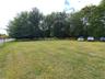 View of green lawn
