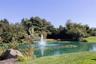 Pondviews in the backyard