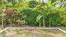 Landscaped backyard featuring mature palms, tiered foliage, dense perimeter greenery, and a concrete border