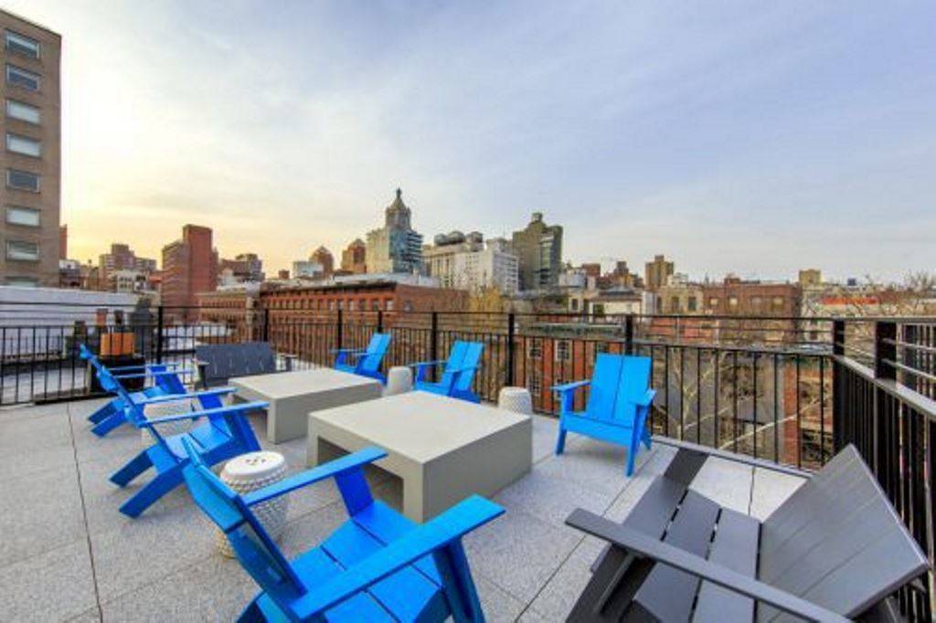 East Village - Renovated Apt w/ In-Unit Laundry and Roofdeck