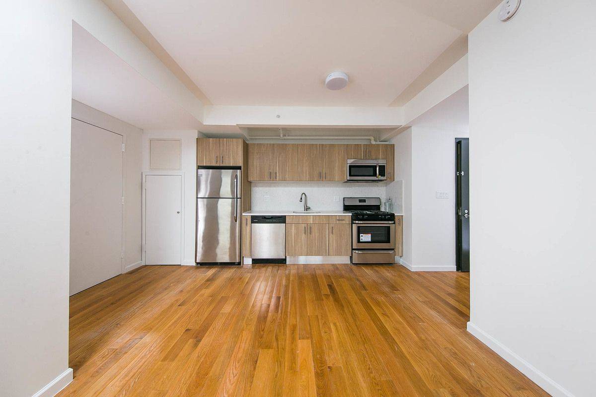 Huge 2/2 bedroom With Terrace in Brand New Building with Elevator, Brooklyn.