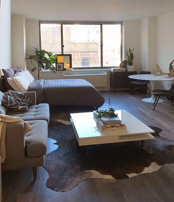 Beautiful South-Facing Studio for Rent in Midtown West