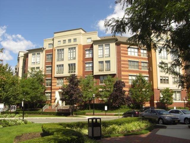 November 1st Move-in Date - Beautiful 1 BR condo with Southeast exposure over courtyard