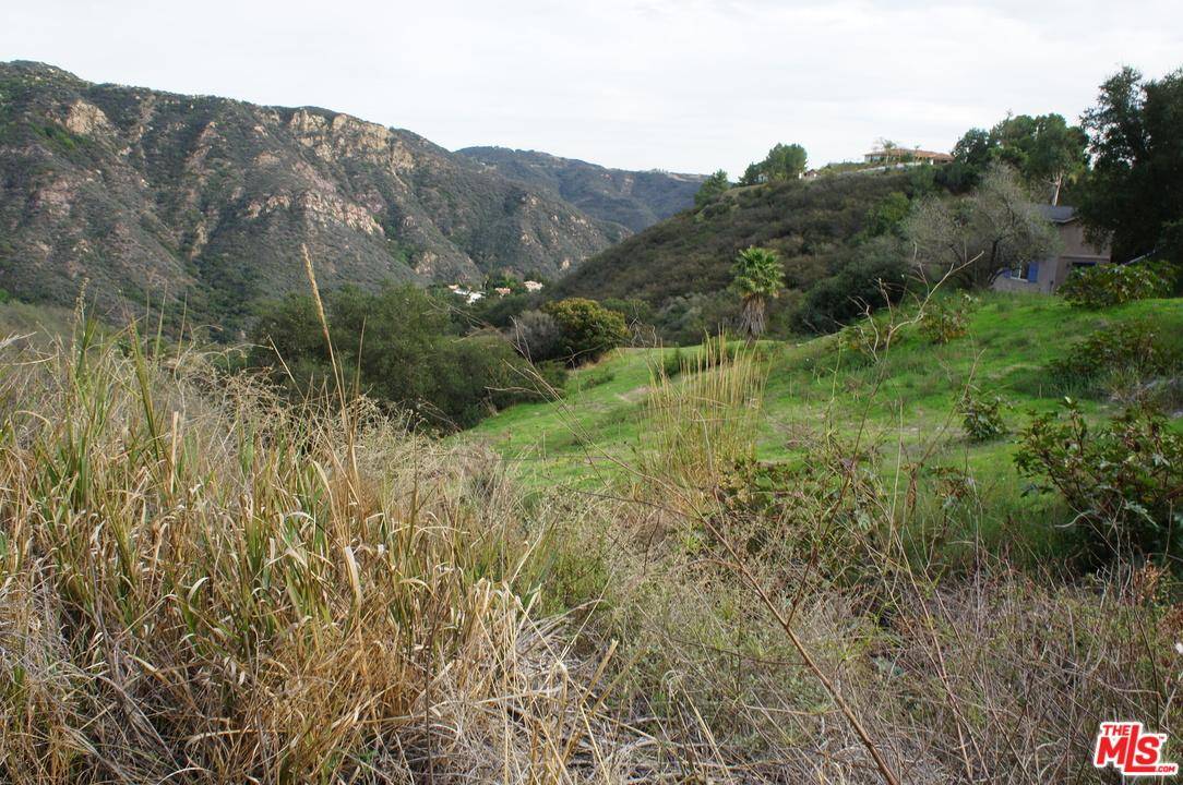 40 Acre parcel with access from Las Flores Cyn Rd and Manzanita Park