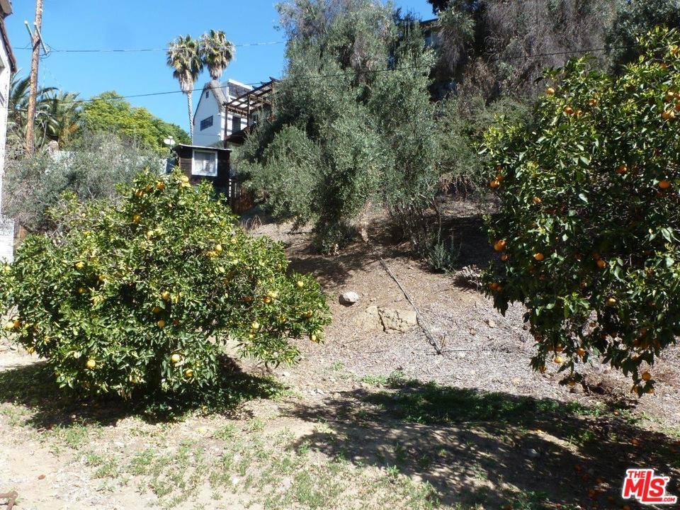 Remarkable City View Lot - Hollywood Hills East Los Angeles