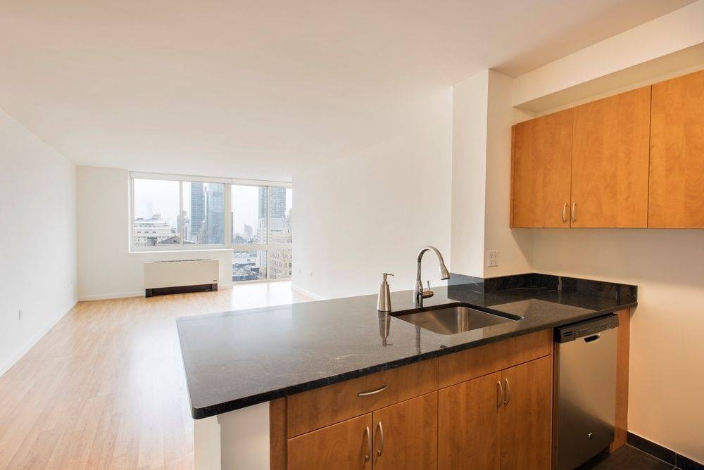 Beautiful North Facing 1 Bedroom, with amazing City Views and Abundant Closet Space!! LUXURY Midtown West Doorman Building - NO FEE -