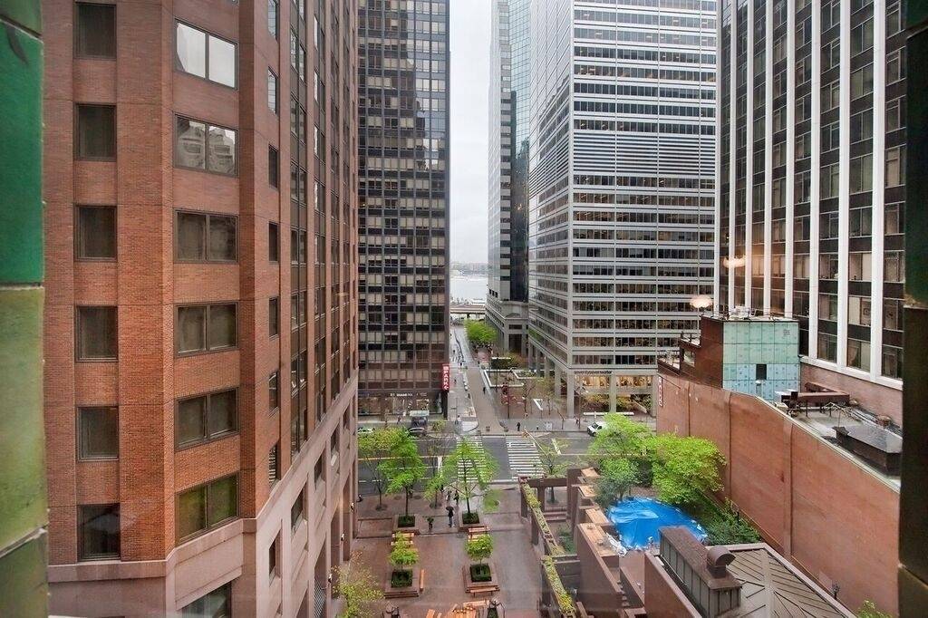 Fully Furnished Studio with River views in Boutique Condo Downtown!