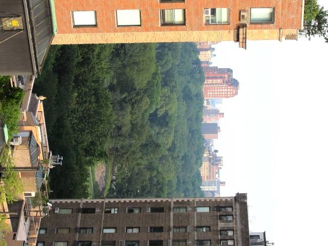 NORTHWEST CORNER TWO BEDROOM WITH CENTRAL PARK VIEWS! CARNEGIE HILL BEAUTY!