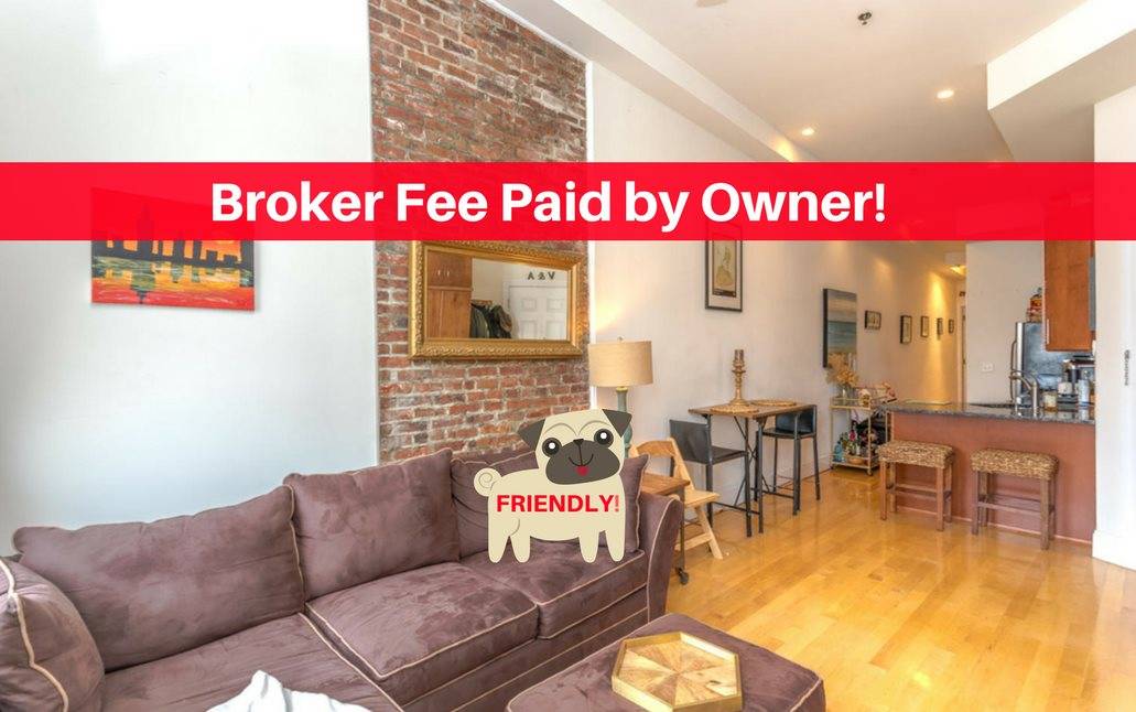 NO BROKER FEE and Pet Friendly - 1 BR New Jersey