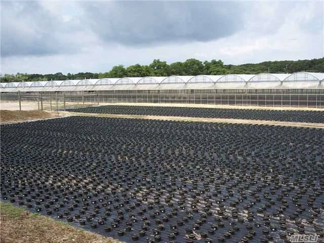 Established Turn Key Wholesale Greenhouse Business And 2 Properties.
