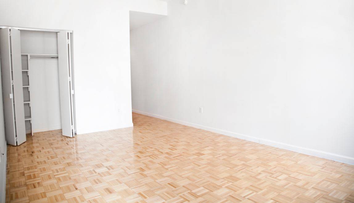 Renovated One Bedroom Apartment Close To Wall Street And A Short Ride To Midtown